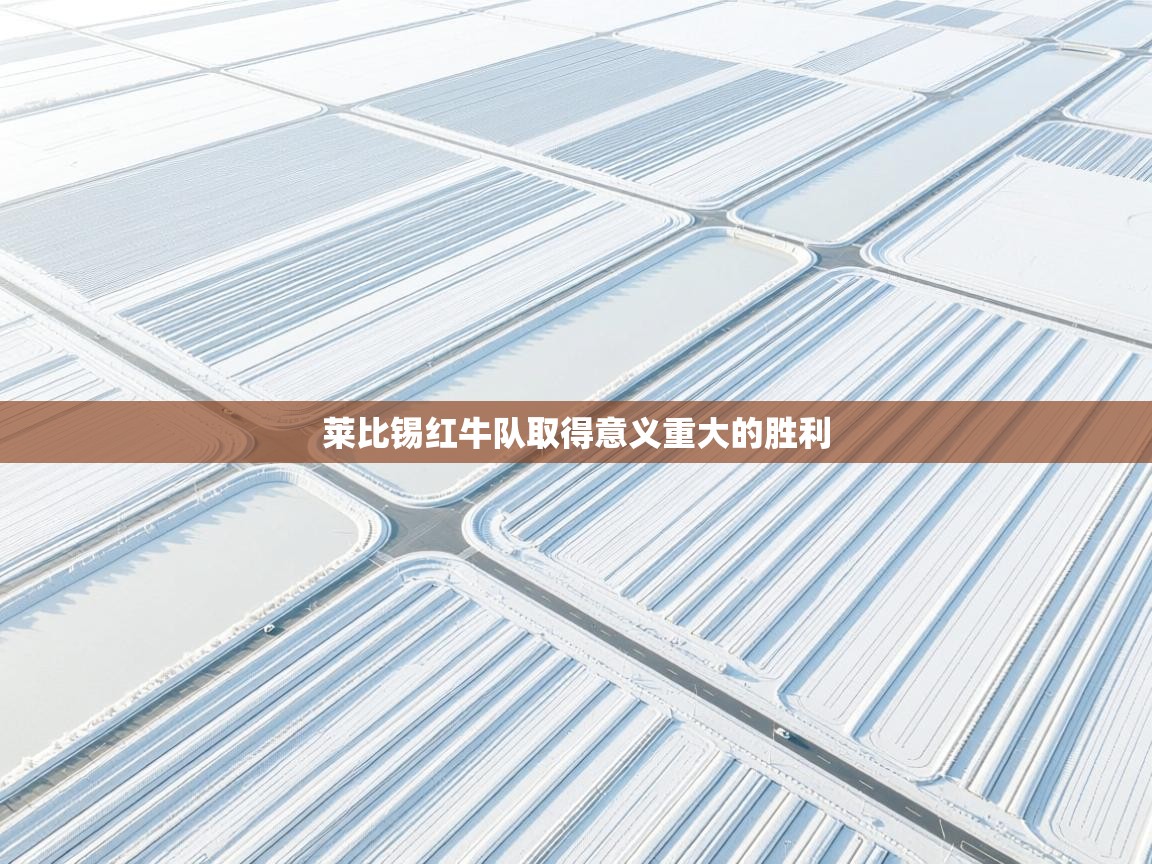 莱比锡红牛队取得意义重大的胜利 第1张