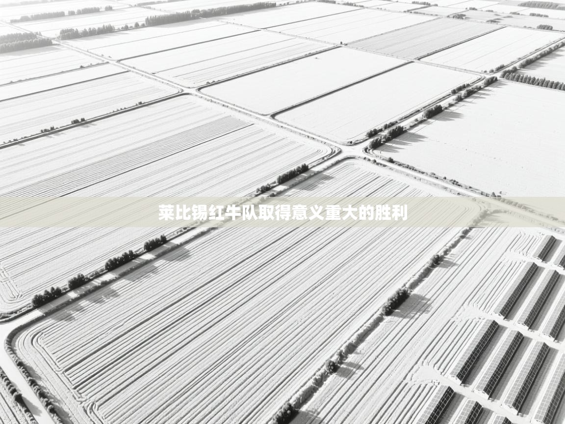 莱比锡红牛队取得意义重大的胜利 第2张