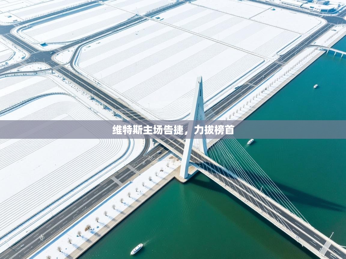 维特斯主场告捷，力拔榜首  第1张