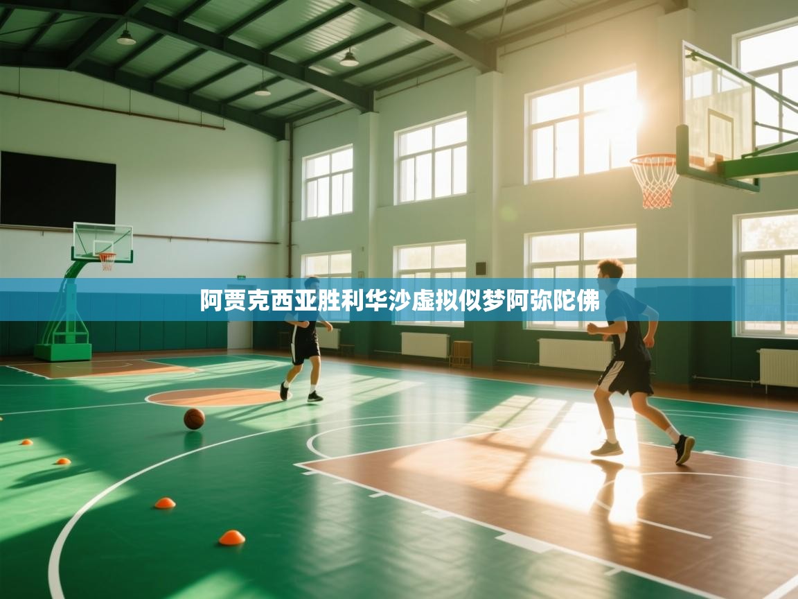 阿贾克西亚胜利华沙虚拟似梦阿弥陀佛  第1张