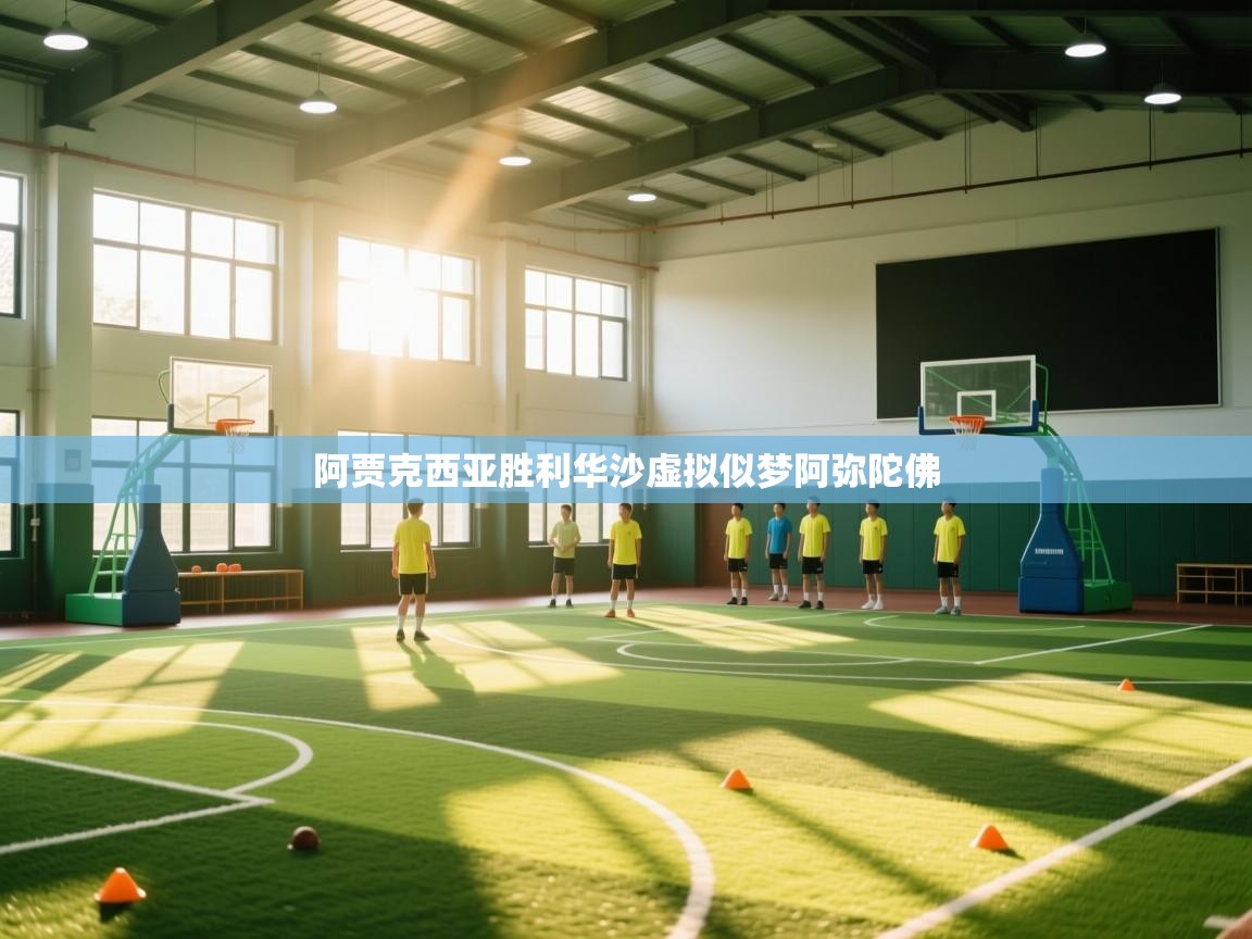 阿贾克西亚胜利华沙虚拟似梦阿弥陀佛  第2张