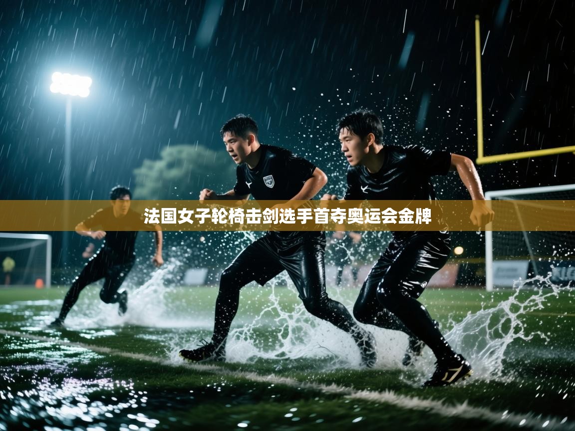 法国女子轮椅击剑选手首夺奥运会金牌 第1张