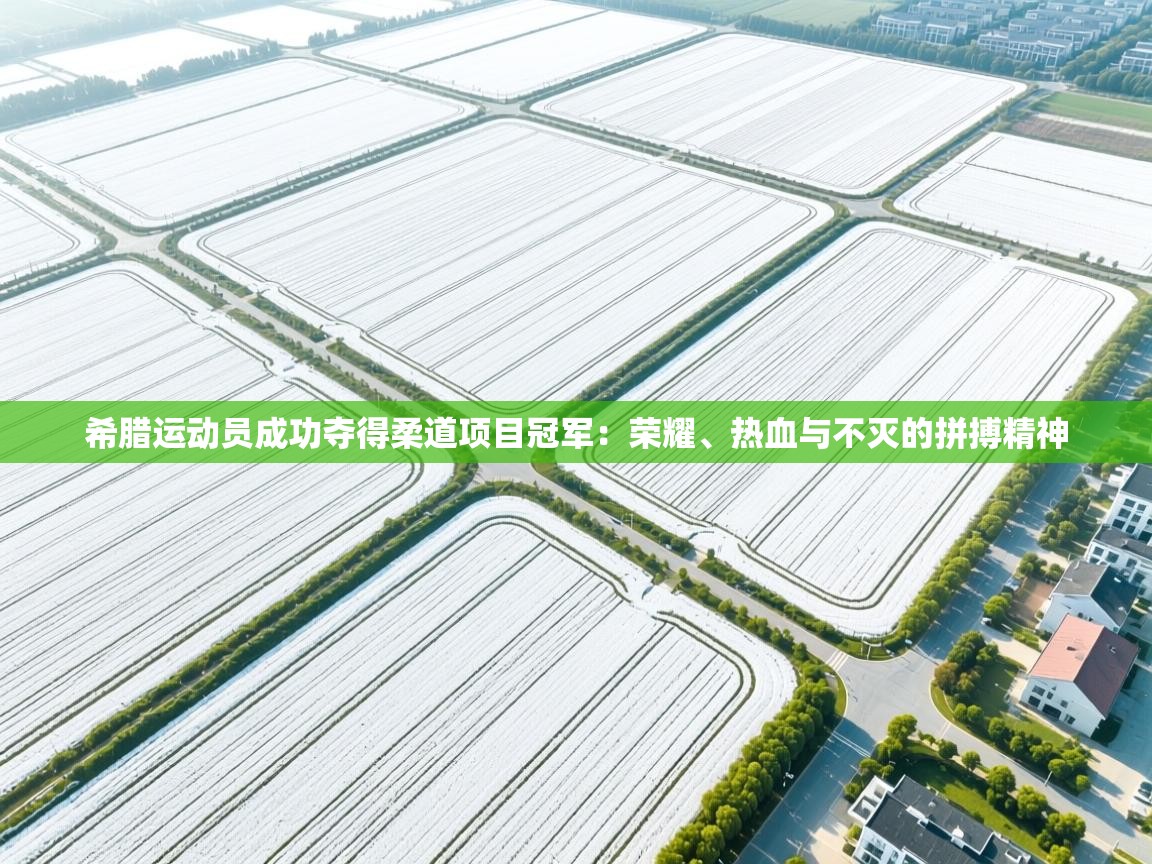 希腊运动员成功夺得柔道项目冠军:荣耀、热血与不灭的拼搏精神 第1张