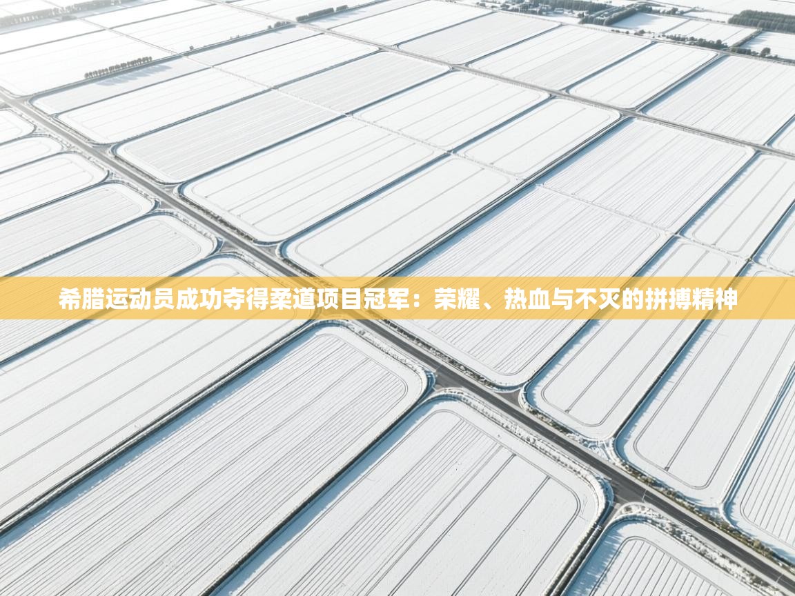 希腊运动员成功夺得柔道项目冠军:荣耀、热血与不灭的拼搏精神 第2张