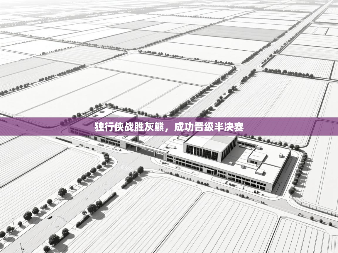 独行侠战胜灰熊,成功晋级半决赛 第2张