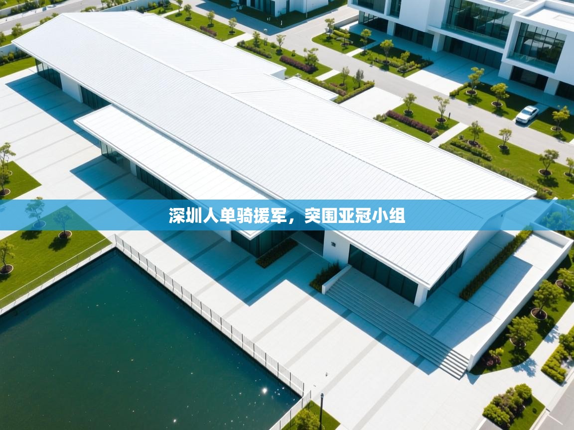 深圳人单骑援军,突围亚冠小组 第1张