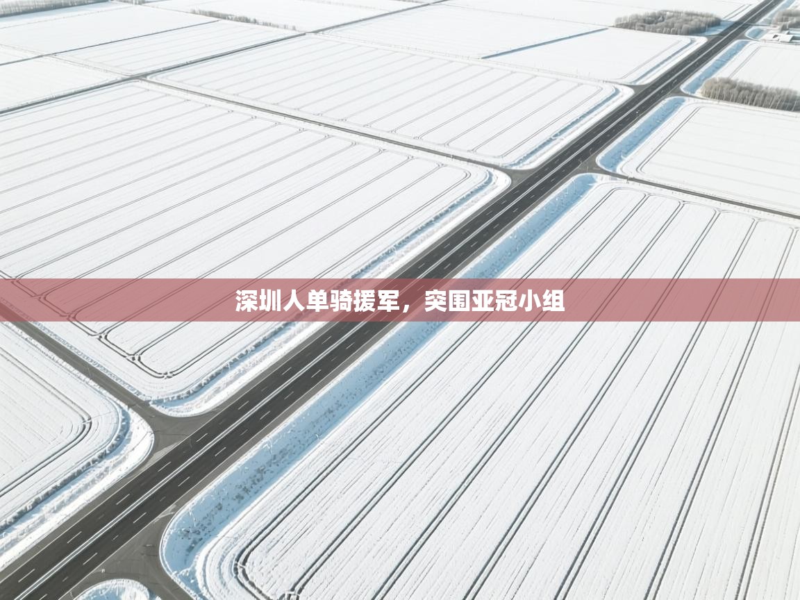 深圳人单骑援军,突围亚冠小组 第2张