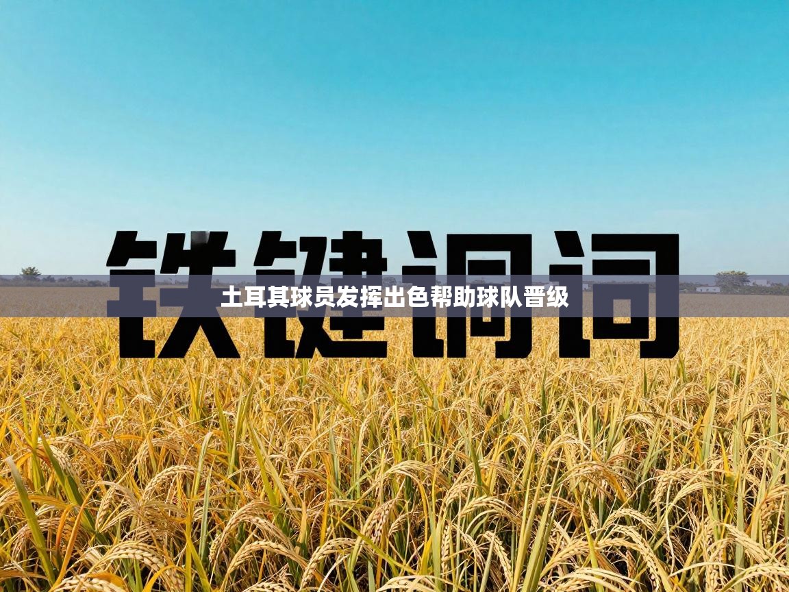 土耳其球员发挥出色帮助球队晋级 第2张