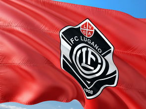 星空体育入口官网-欧国联强大对手：瑞士与西班牙交锋，瑞士与西班牙历史交锋记录